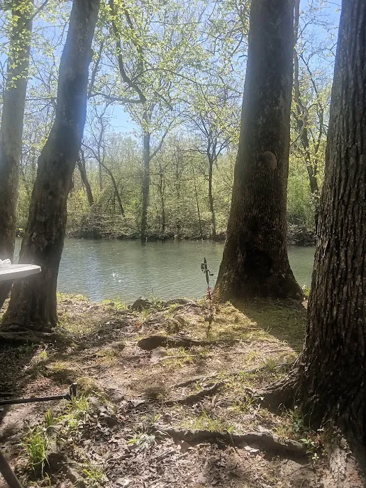 Pearsons Landing RV Park Picture 10