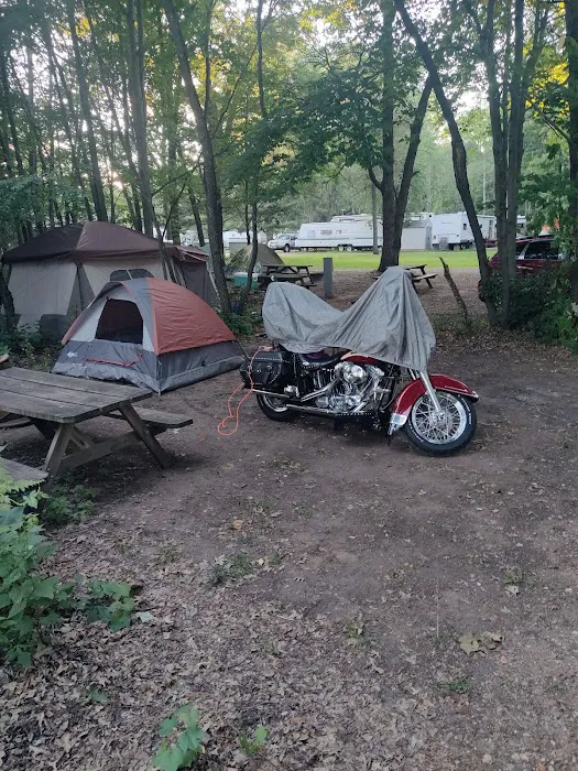 Pine Harbor Campground Picture 2