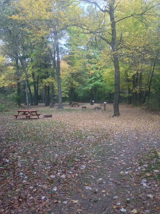 Pine Harbor Campground Picture 10