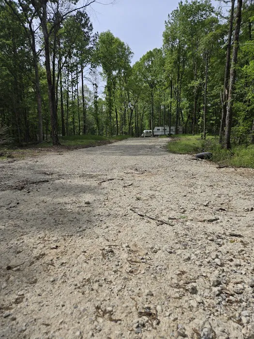 Smith Loop RV Park Picture 3