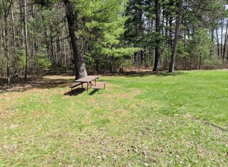 Group Campground
