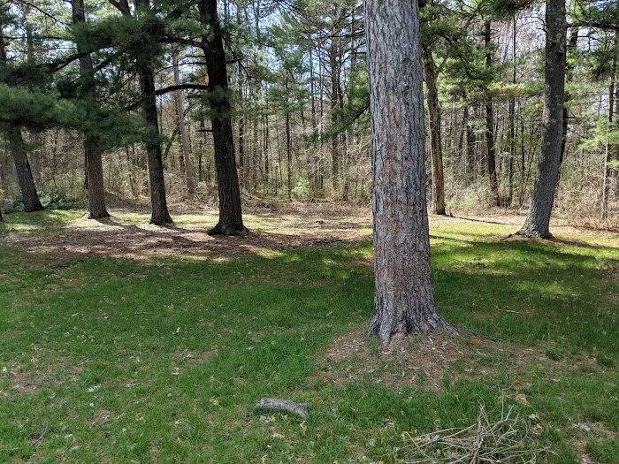 Group Campground Picture 6