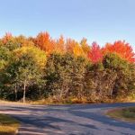 Family Campground