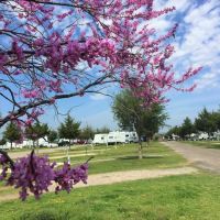 Cedar Valley RV Park ico