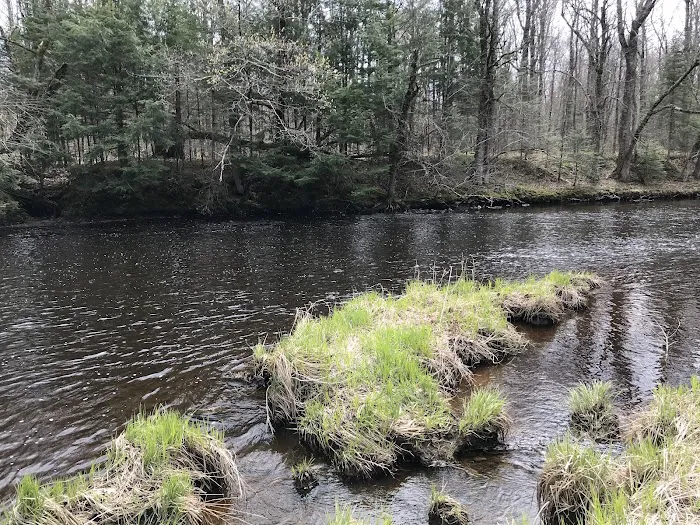 Chequamegon Waters Dispersed Recreation Area Picture 1