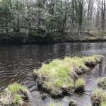 Chequamegon Waters Dispersed Recreation Area