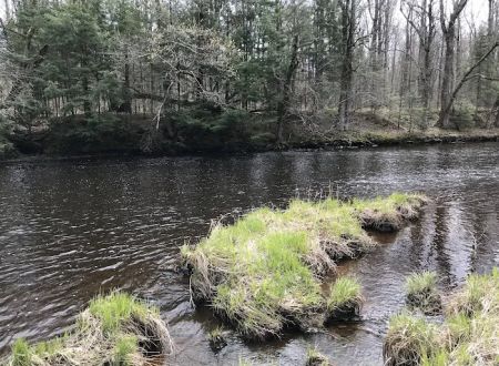 Chequamegon Waters Dispersed Recreation Area
