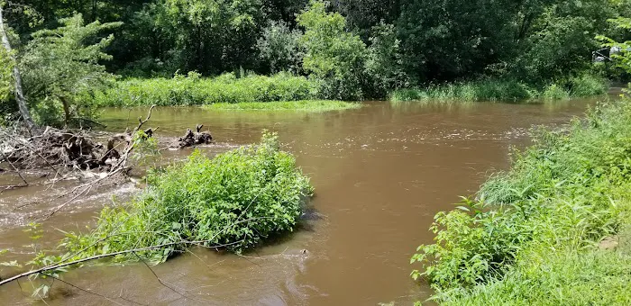 Duncan Creek Campground Picture 6