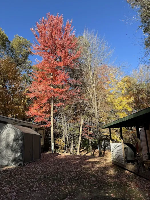 O'Neil Creek Campground Picture 4