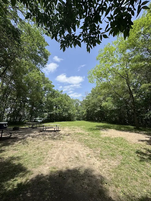 Little Island Group Camp Picture 1