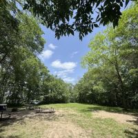 Little Island Group Camp ico