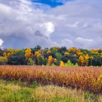 Hickory Hills Campground ico
