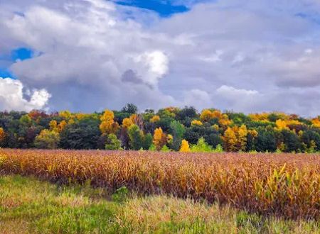 Hickory Hills Campground