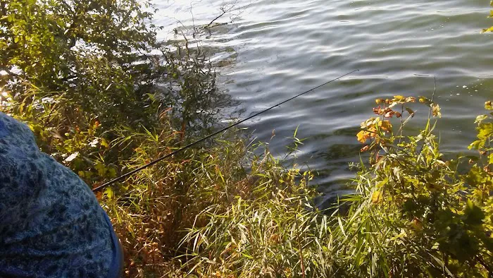 Silver Lake County Park Picture 6