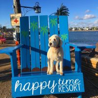 Happy Time Resort ico