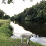 Pammel Park Campground