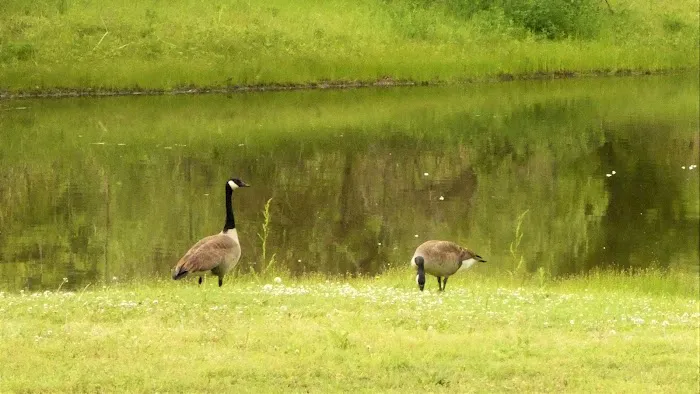 Pecan Valley RV Park LLC Picture 1