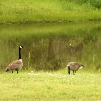Pecan Valley RV Park LLC ico