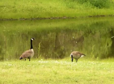 Pecan Valley RV Park LLC