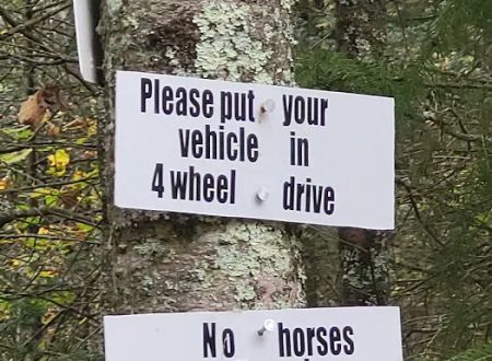 Bear Claw Campground / Horse Trails