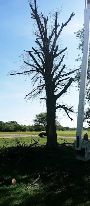 Wildwood Acres RV Park Picture 1