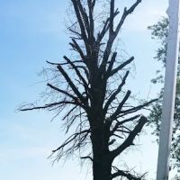 Wildwood Acres RV Park ico