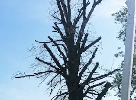 Wildwood Acres RV Park