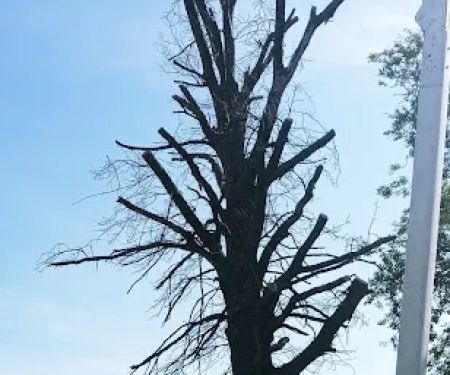 Wildwood Acres RV Park