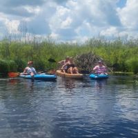 Majestic Pines Campground ico