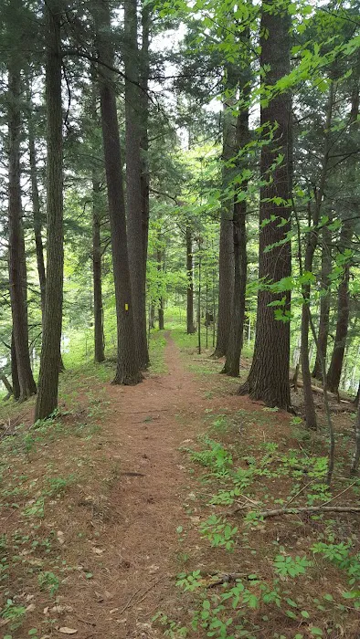 Picnic Point Campground Picture 7