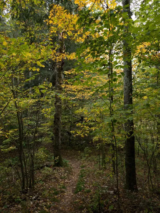 West Point Campground Picture 6