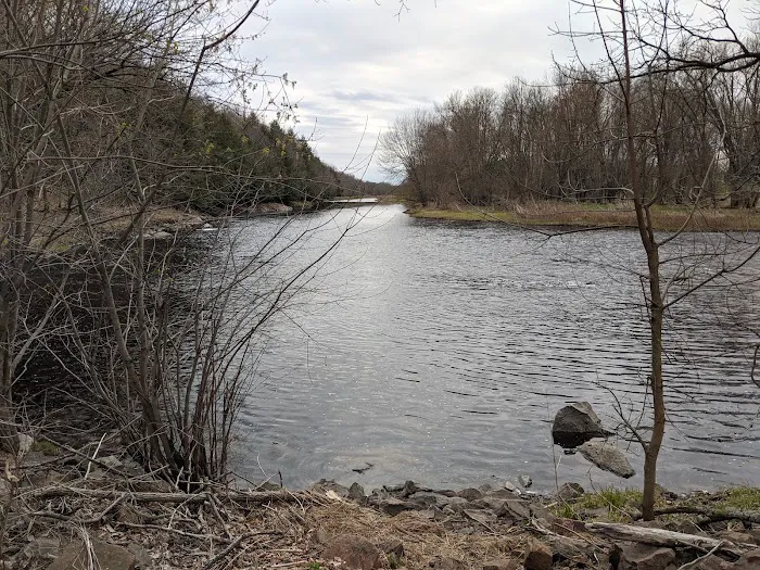 Spearhead Point Campground Picture 2