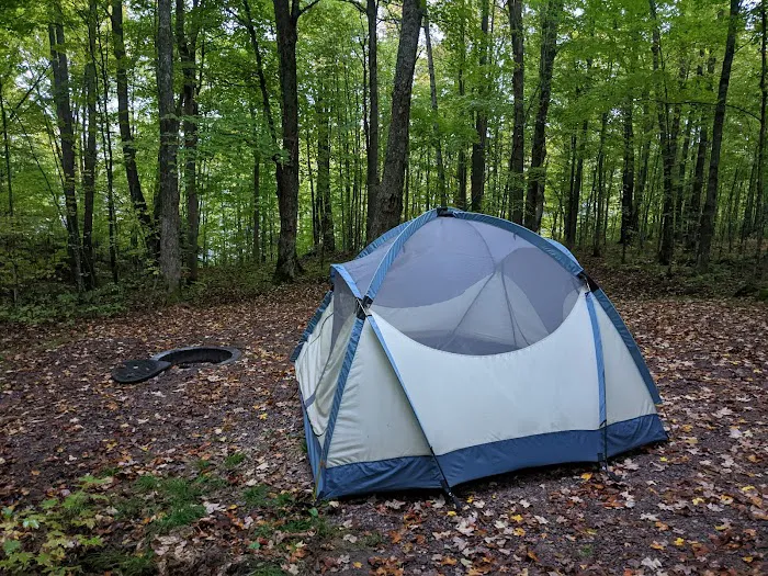 The Eastwood Campground Picture 7