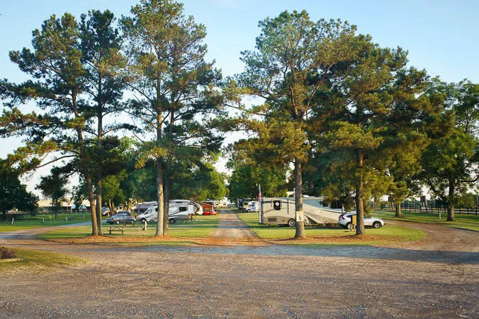 Southern Trails RV Resort Picture 3