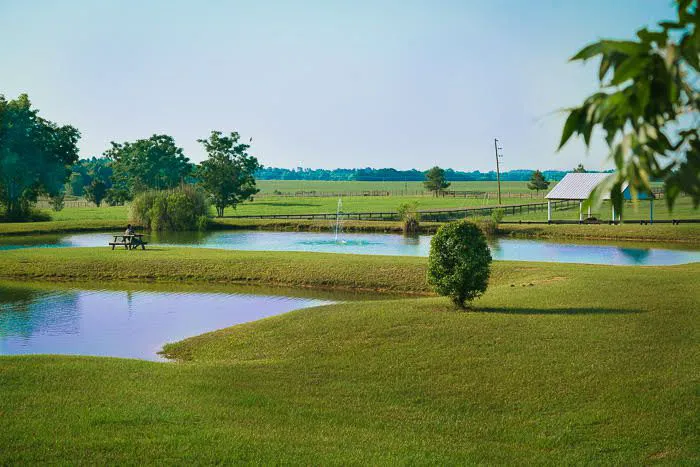 Southern Trails RV Resort Picture 4