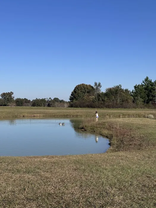 Southern Trails RV Resort Picture 6