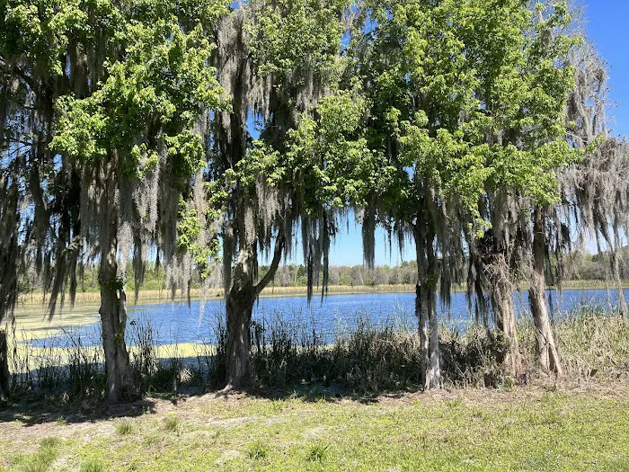 Alafia River State Park- Campground Picture 3