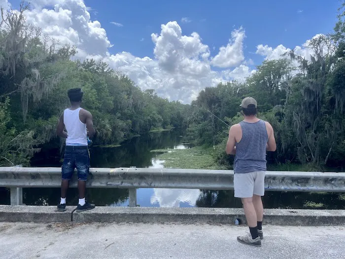 Alafia River State Park- Campground Picture 4