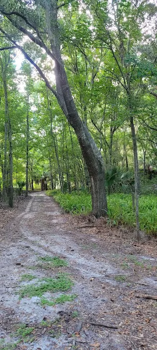 Alafia River State Park- Campground Picture 7
