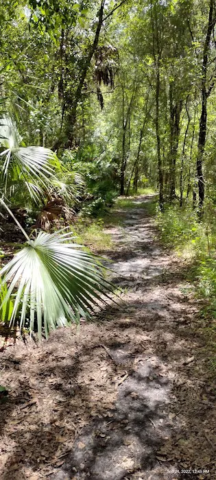 Alafia River State Park- Campground Picture 10
