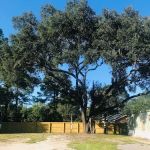 Oak Park Mobile Home Community