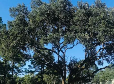 Oak Park Mobile Home Community