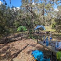 Wood Duck Camp ico