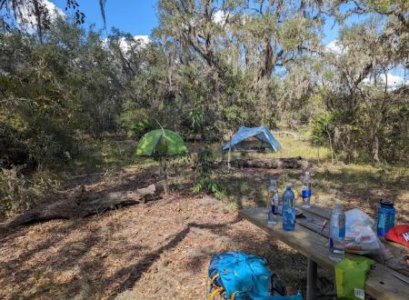 Wood Duck Camp