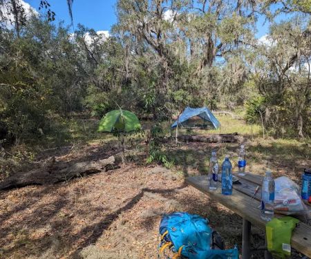 Wood Duck Camp