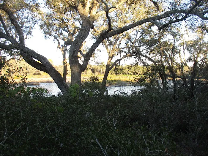 Wood Duck Camp Picture 10
