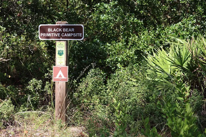 Black Bear Campsite Picture 1