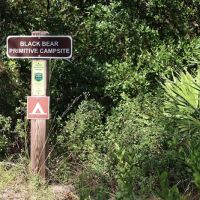 Black Bear Campsite ico