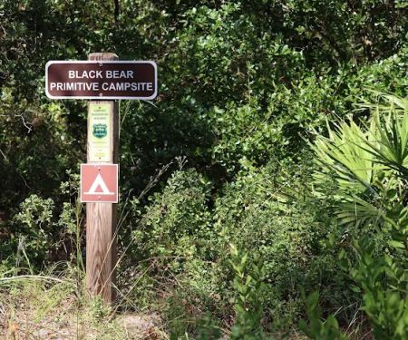 Black Bear Campsite