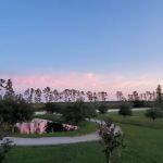 The JJ Ranch